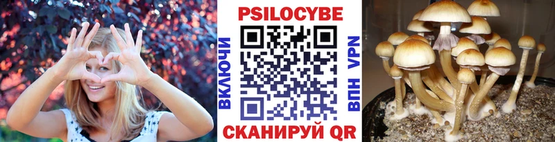 наркота  Кораблино  Псилоцибиновые грибы Magic Shrooms 
